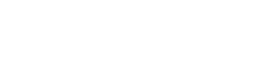 NTT Data logo